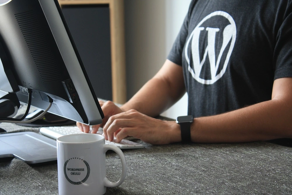 wordpress-development